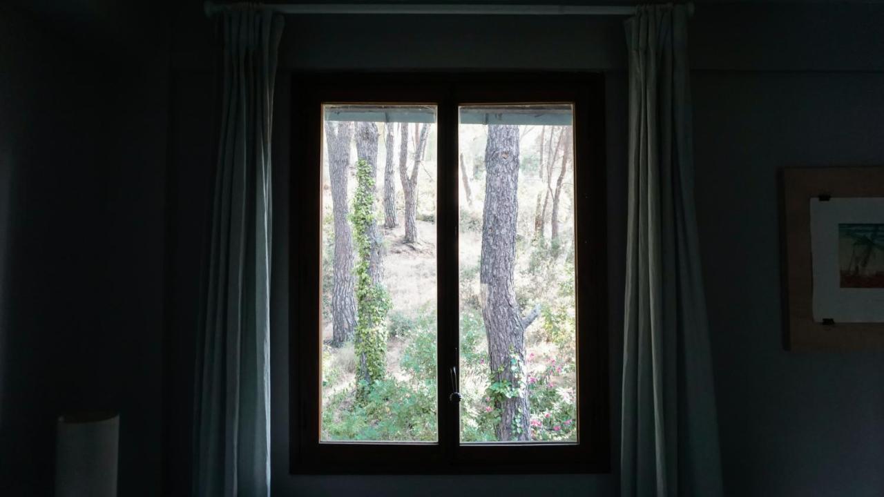 Retiro Chic Frente Al Lago - A 1 Hora De Madrid, Pantano De San Juan San Martín de Valdeiglesias 외부 사진