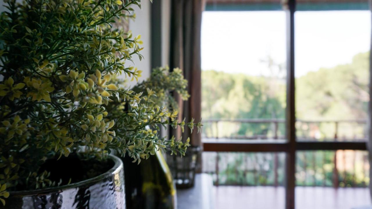 Retiro Chic Frente Al Lago - A 1 Hora De Madrid, Pantano De San Juan San Martín de Valdeiglesias 외부 사진